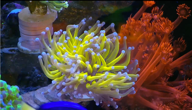 下新生物后翻车，排查重点在这